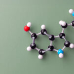 perturbateurs endocriniens