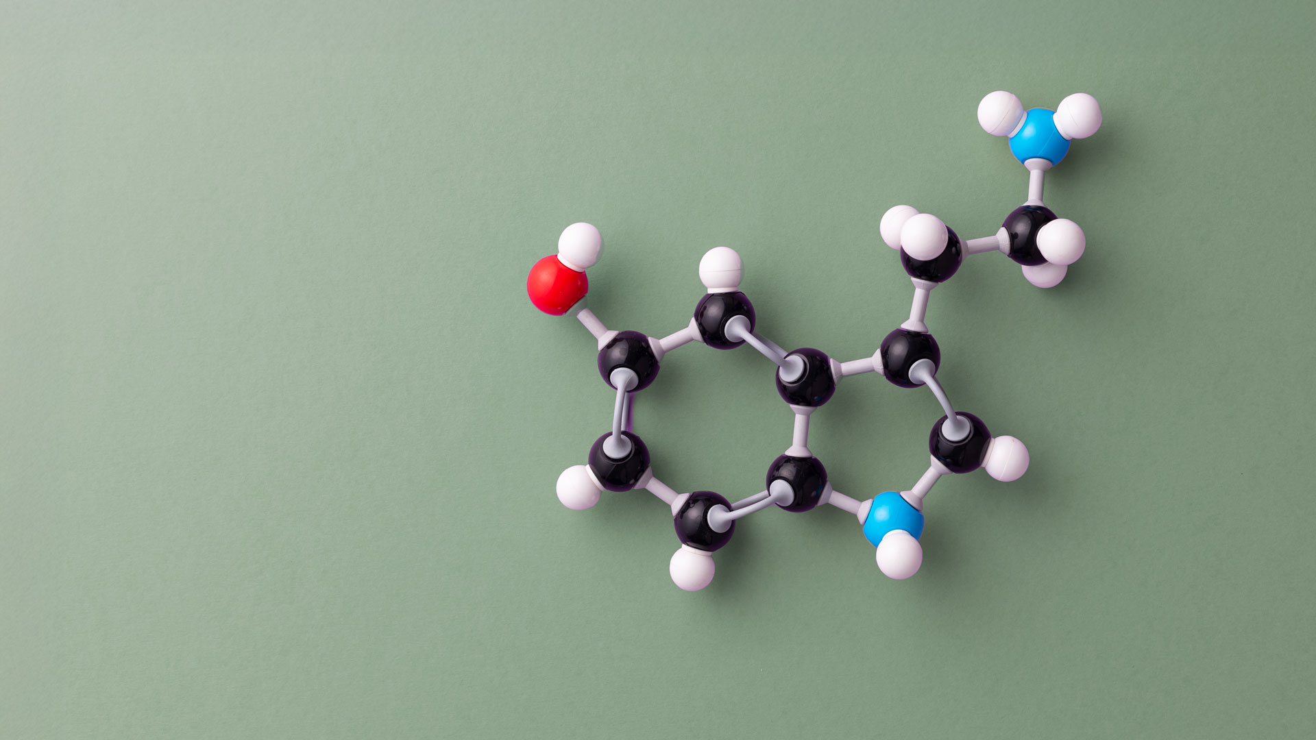 perturbateurs endocriniens