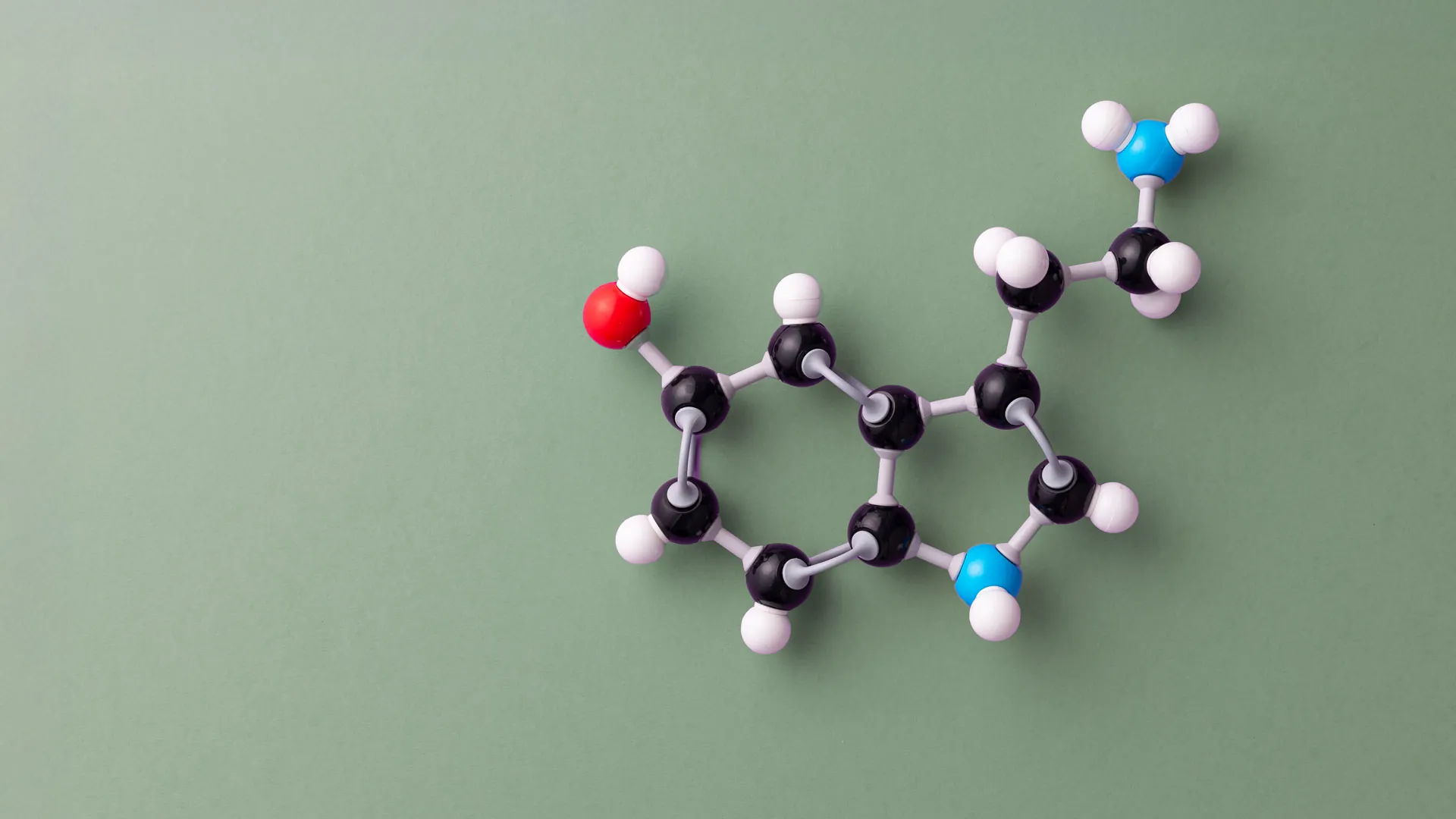 perturbateurs endocriniens