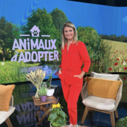 sandrine arcizet sur le plateau de animaux à adopter