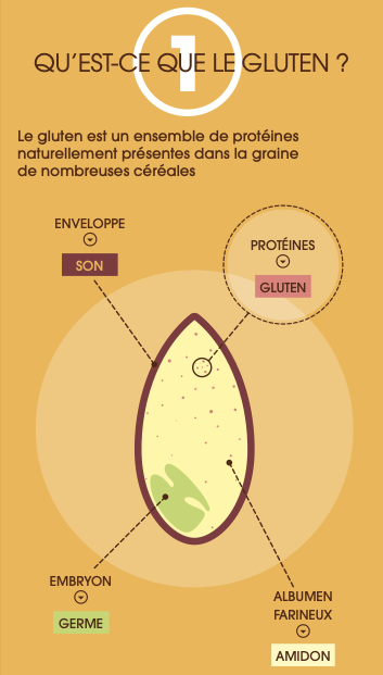 pain et santé : le gluten c'est quoi ?
