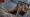 garder contact syndrome du nid vide