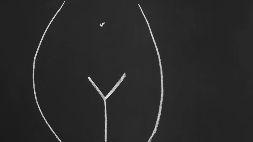 dessin du bassin d'une femme